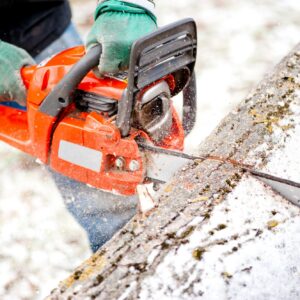 Adult worker cutting trees with chainsaw and tools