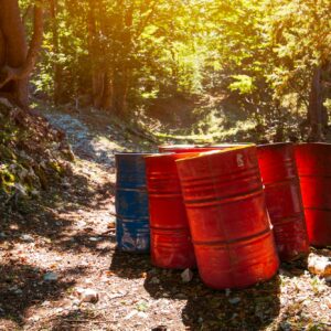Toxic waste barrels in the forest
